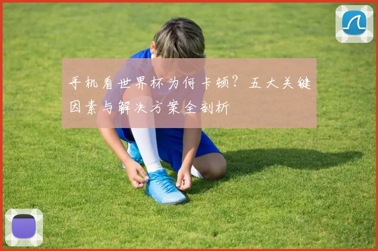 手机看世界杯为何卡顿？五大关键因素与解决方案全剖析